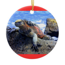 Galapagos Ornament
