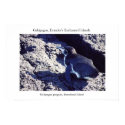 Galápagos penguin basks along the equator posters by torrequemada Galápagos penguin basks along the equator posters