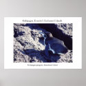 Galápagos penguin basks along the equator posters