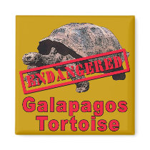 Galapagos Tortoise  Endangered Art Tshirts Magnets