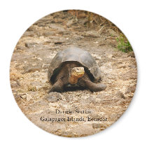 Galapagos Tortoise magnets