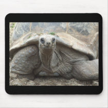 Galapagos Tortoise Mousepad