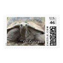 Galapagos Tortoise Stamps