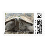 Galapagos Tortoise Stamps
