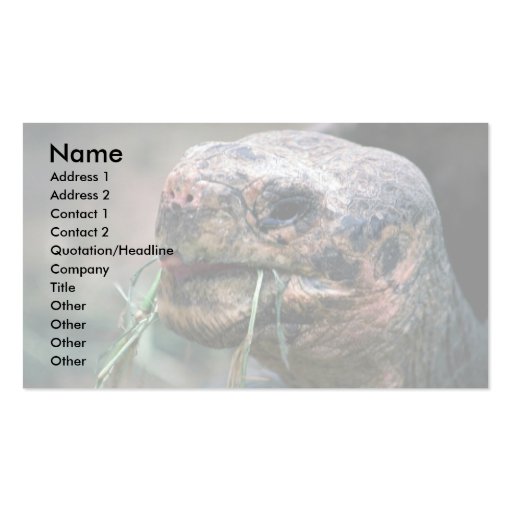 Galapagos Turtle, Galapagos Islands Business Card (front side)