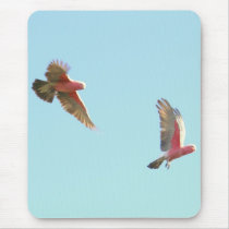 galas8 mousepads by brianlart galas8 mousepads