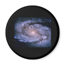 Galaxy M 100 magnets