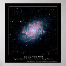 Galaxy NGC 7793 – Spitzer Space Telescope - Infrar Posters