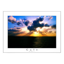 Gale posters