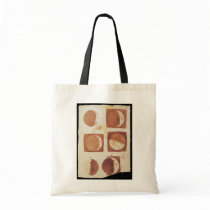 Galileo moon phases 1616 bags