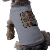 Galileo moon phases 1616 pet clothing