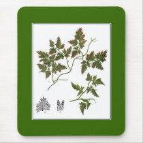 gall9 mousepads