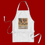 gallery07 AFRICA ZIBRA aprons