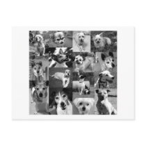 gallery of gorgous seniors postcards