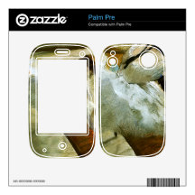 Gallery Player by Edgar Degas Skin For The Palm Pre
