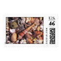 GalleryPlayer-23_Shells postage