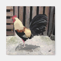 Gallo de Pelea/Gamecock Magnet
