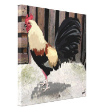 Gallo de Pelea/Gamecock Stretched Canvas Print