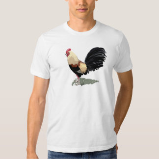 gamecock t shirts