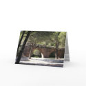 Gallo-roman aquaduct of Frejus (France) cards