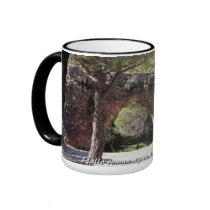 Gallo-roman aquaduct of Frejus (france) mugs