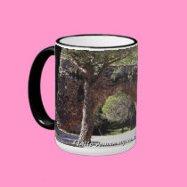 Gallo-roman aquaduct of Frejus (france) mugs
