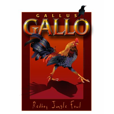 Gallo T-shirt by Seedmother