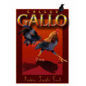 Gallo t-shirts