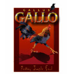 Gallo