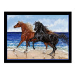 Gallop beach Arabian horse postcard
