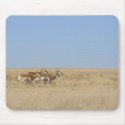 Galloping Antelope mousepads