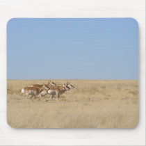 Galloping Antelope mousepads