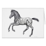 Galloping Appaloosa Foal Card