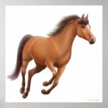 Galloping Bay Horse Poster posters