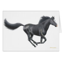 Galloping Black Horse Card by twopurringcats Galloping Black Horse Card