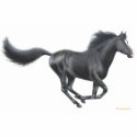 Galloping Black Horse Holiday Ornament photo sculptures by twopurringcats Galloping Black Horse Holiday Ornament photo sculptures