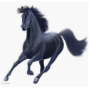 Galloping Black Thoroughbred Holiday Ornament photo sculptures