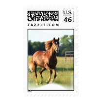 Galloping Chestnut Horse Stamp