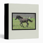 Galloping Colt Binder