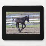 Galloping Colt Mousepad