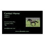 Galloping Colt on a Business Card