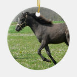 Galloping Colt Ornament