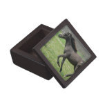 Galloping Colt Premium Gift Box