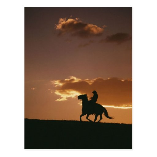 Galloping Cowboy Silhouette Postcards
