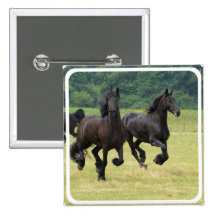 Galloping Friesian Horses  Button