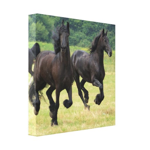 Friesian Horse Art 