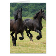 Galloping Friesian Horses  Greeting Card