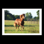 Galloping Horse Poster Print