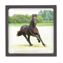 Galloping Horse Premium Gift Box