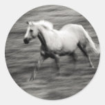Galloping Horse Round Stickers
